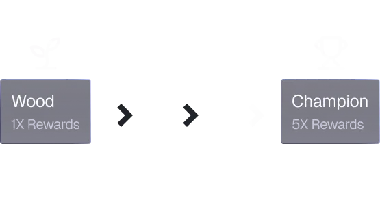 Progress through the Ranks Icon